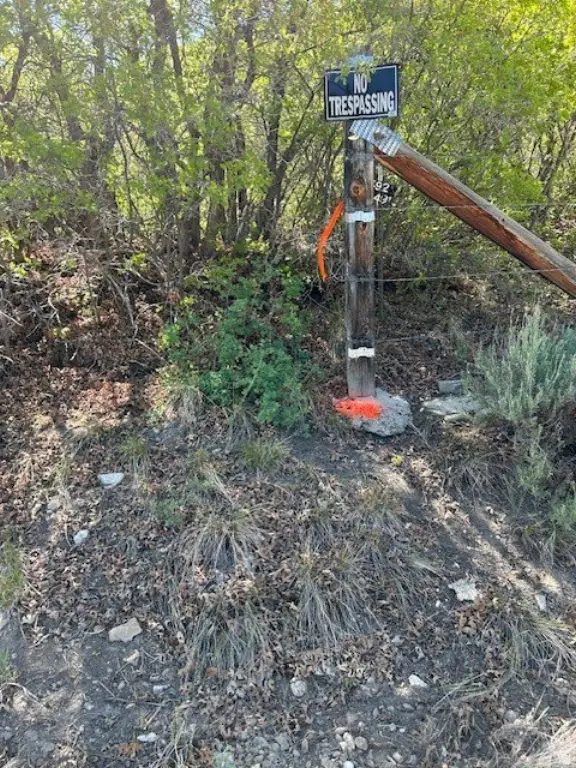 Picture 17