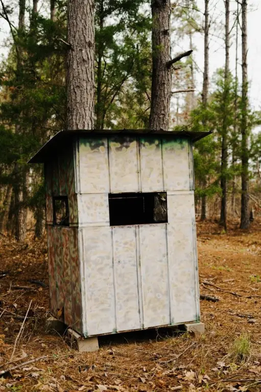 Picture 41