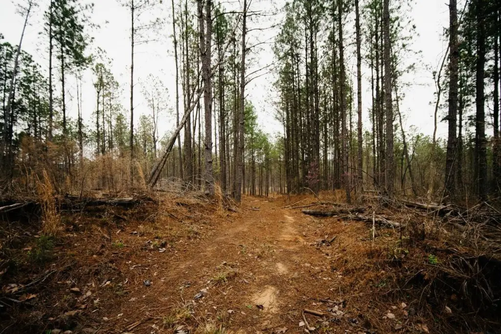 Picture 34