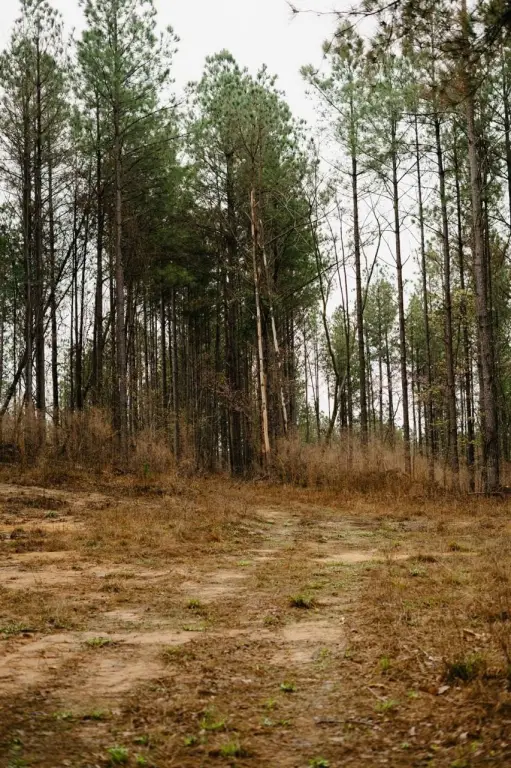 Picture 21