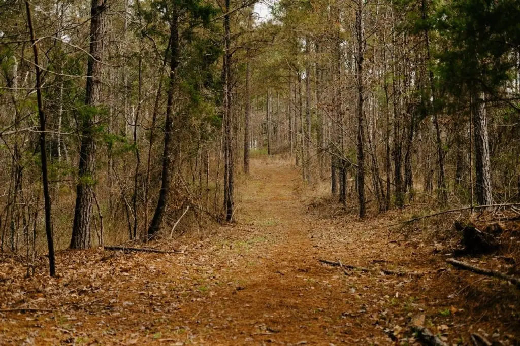 Picture 27