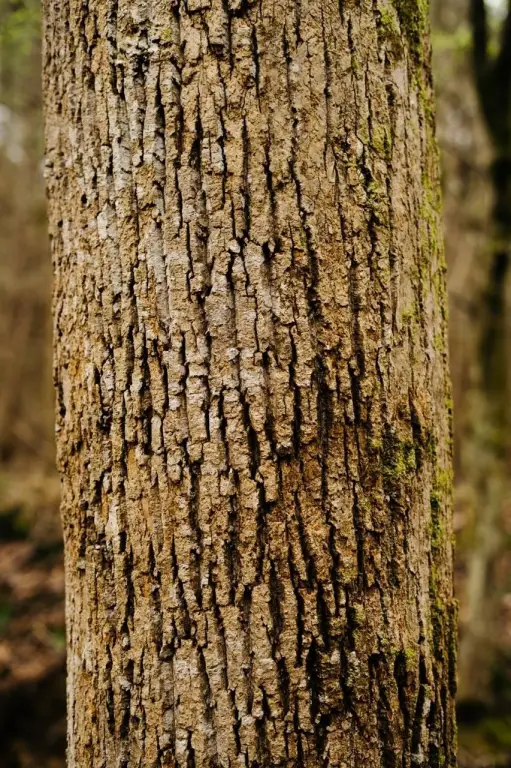 Picture 40