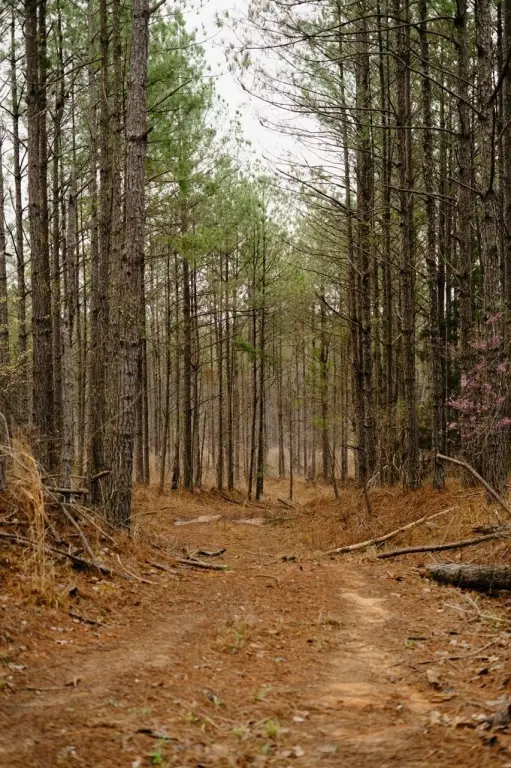 Picture 22