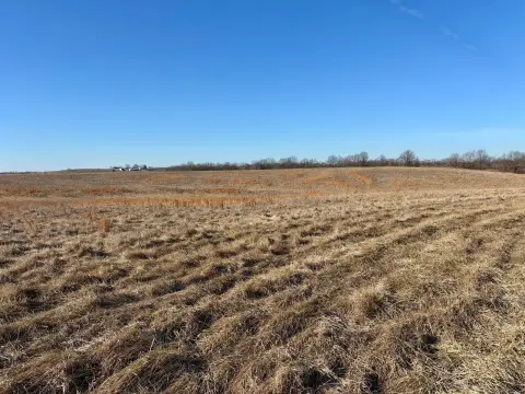 Nebo, IL Vacant Land Investment