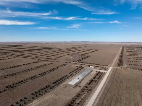 Nebraska Land with CRP Income