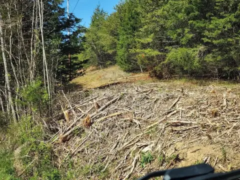 Bybee Wooded Acreage For Sale