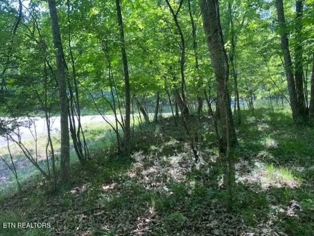 Picture 3