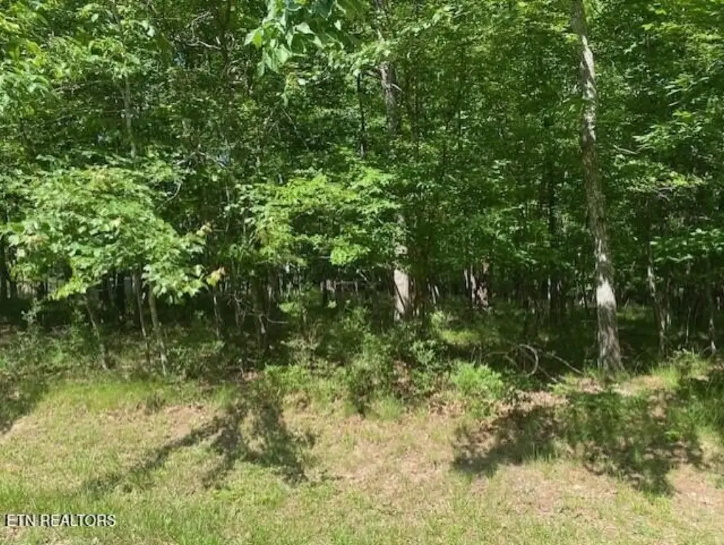 Picture 5