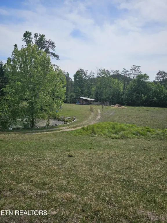 Picture 11