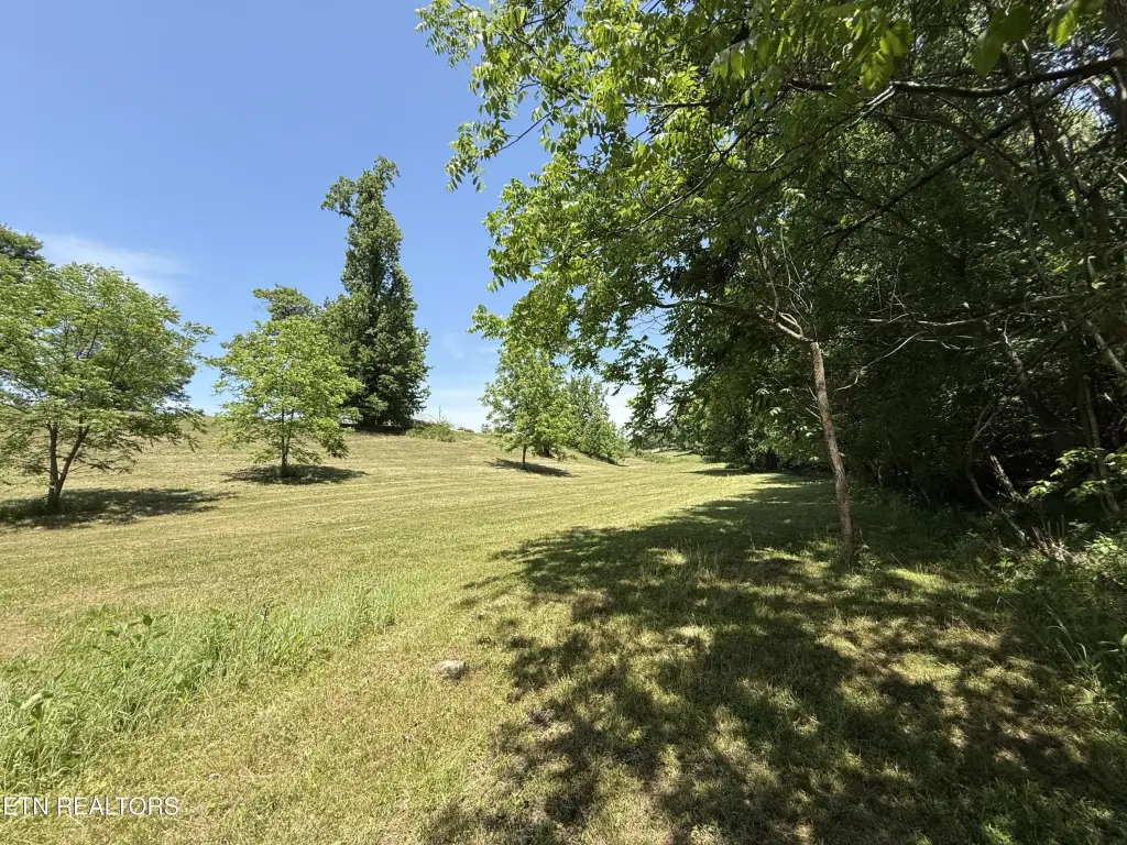 Picture 23