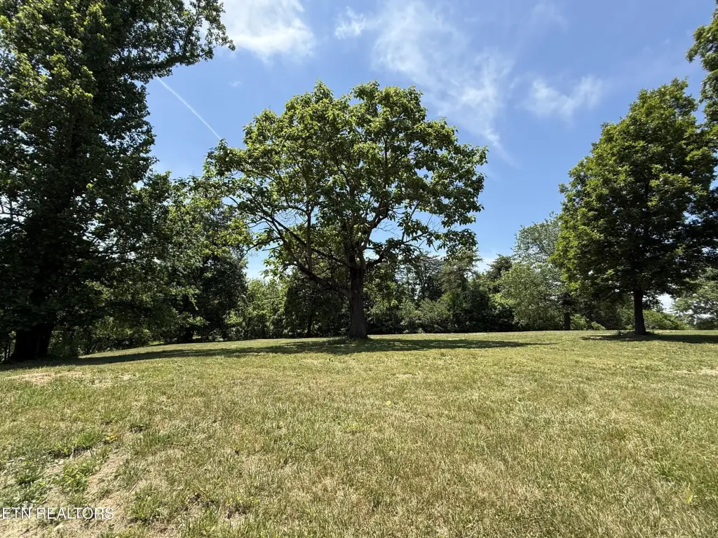 Picture 24