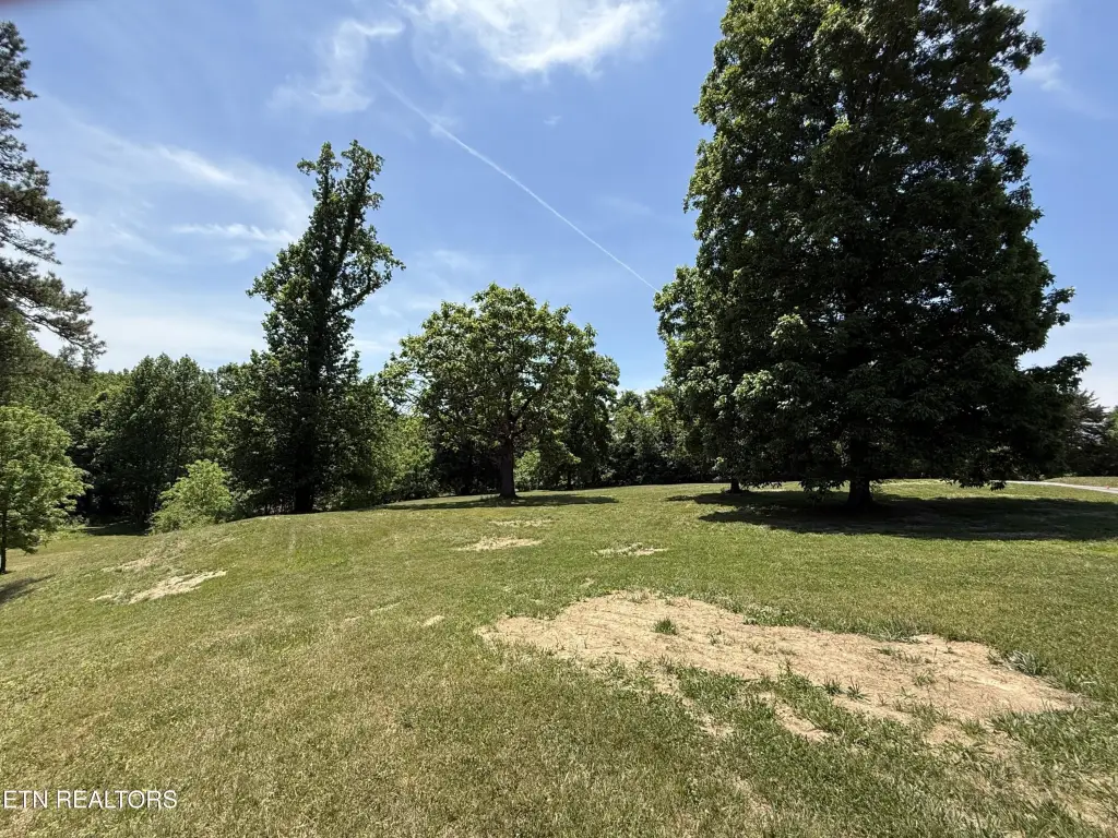 Picture 25