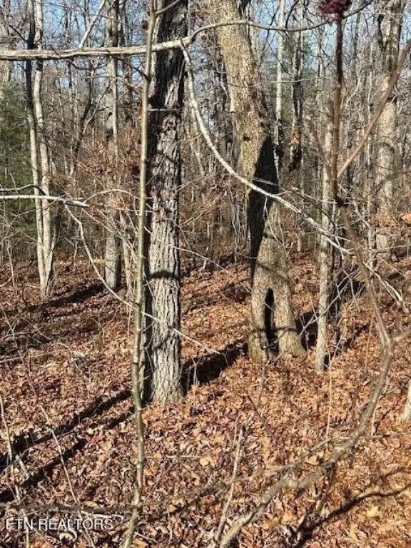 Picture 6