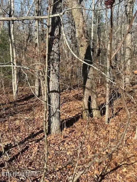Picture 2