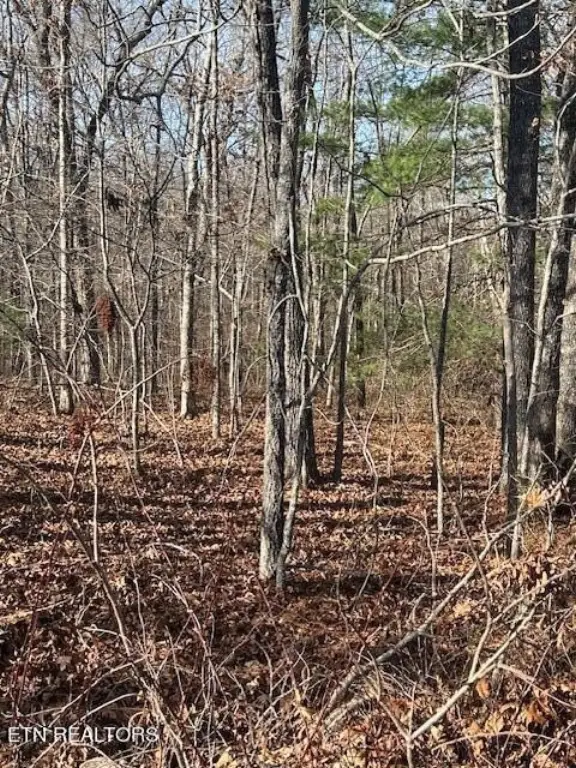 Picture 3
