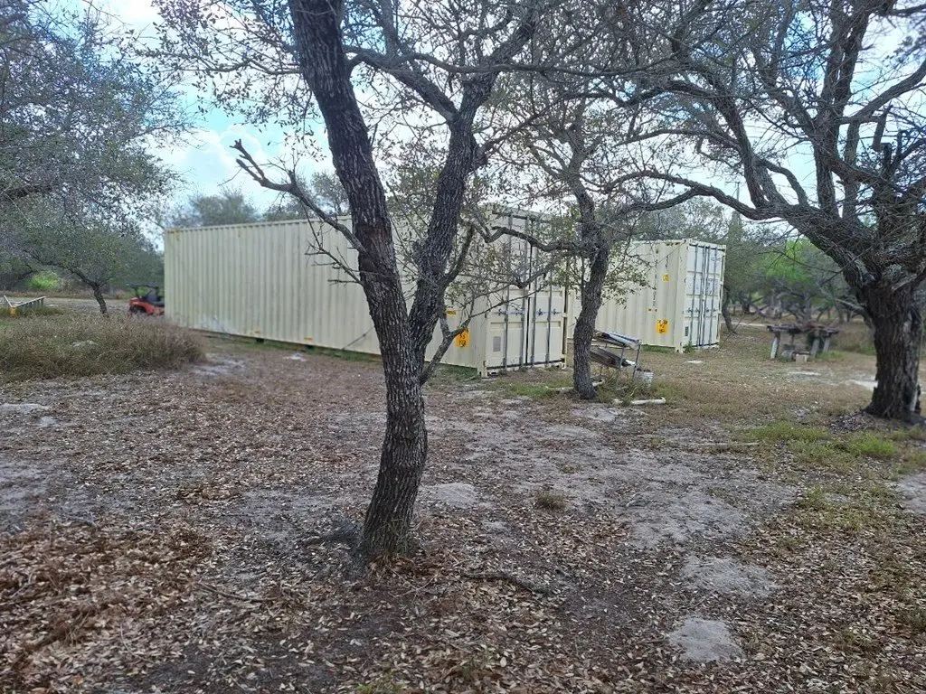 Picture 6