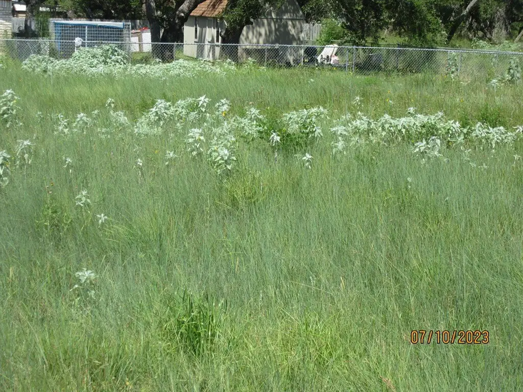 Picture 3