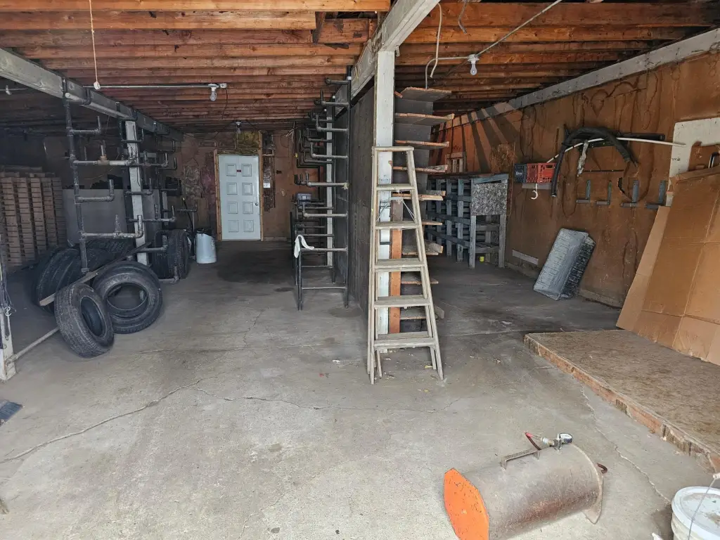 Picture 8