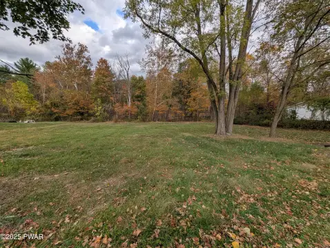Milford Borough Streamfront Land