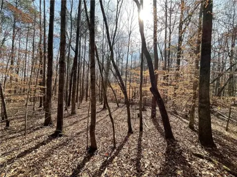 Wooded Lot Near Lake Harding