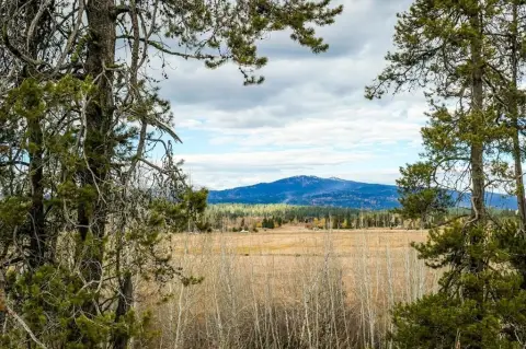 McCall Land Parcel For Sale
