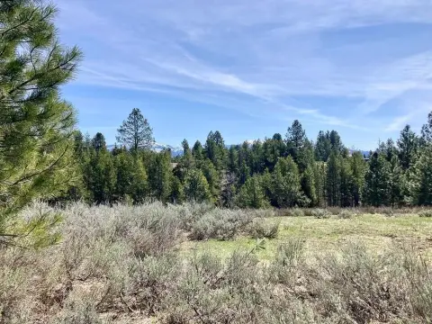 McCall Building Lot with Views