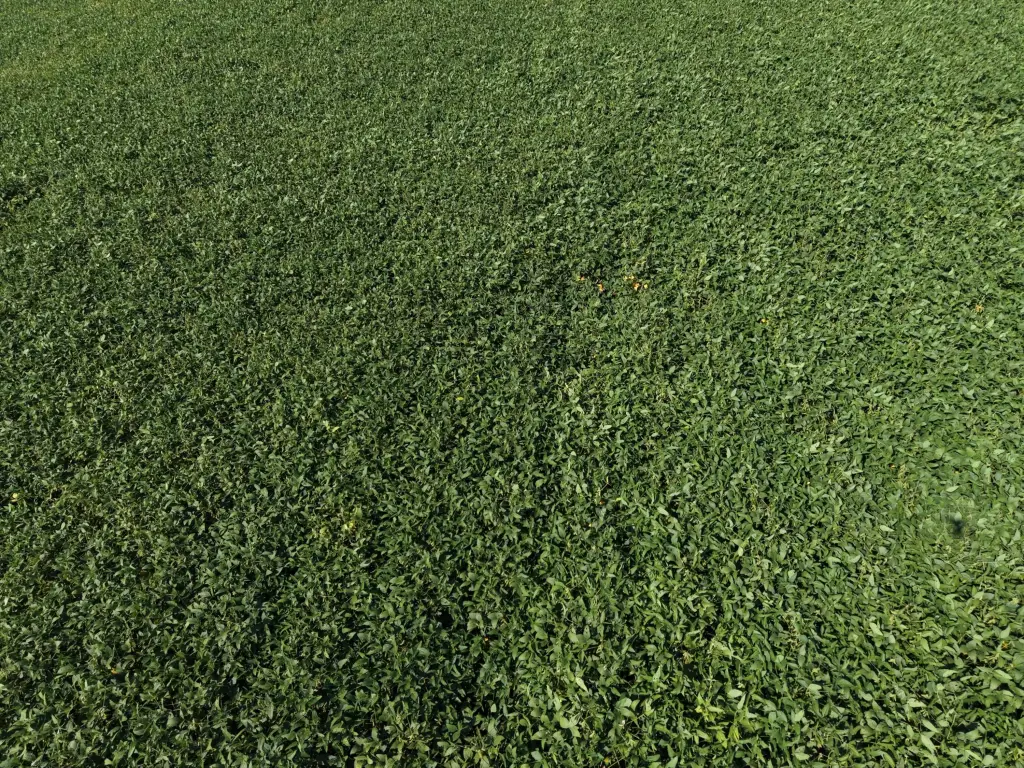 Picture 10
