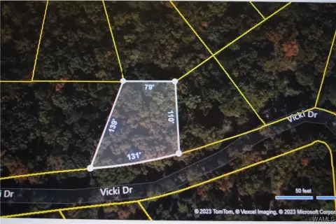 Lake View Land Opportunity