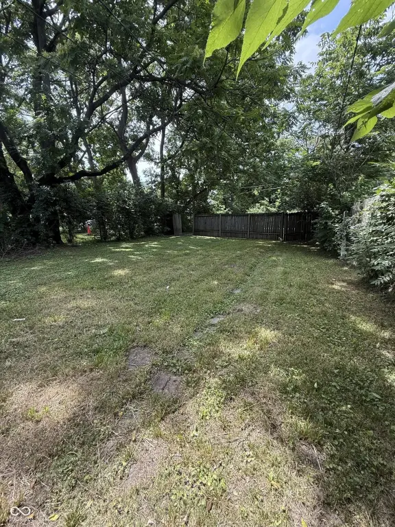 Picture 2