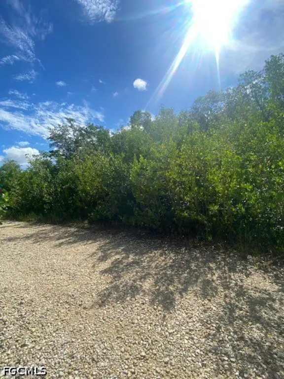 Picture 4