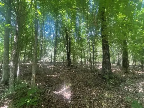 55.84 Acres Hunting and Recreation