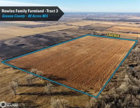 Farmland Auction in Greene County, Iowa