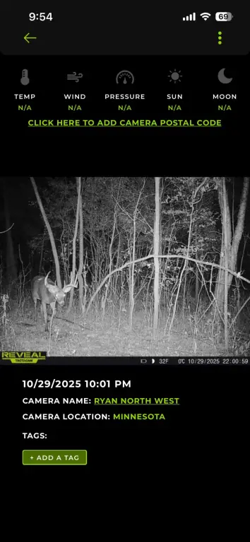 Picture 4