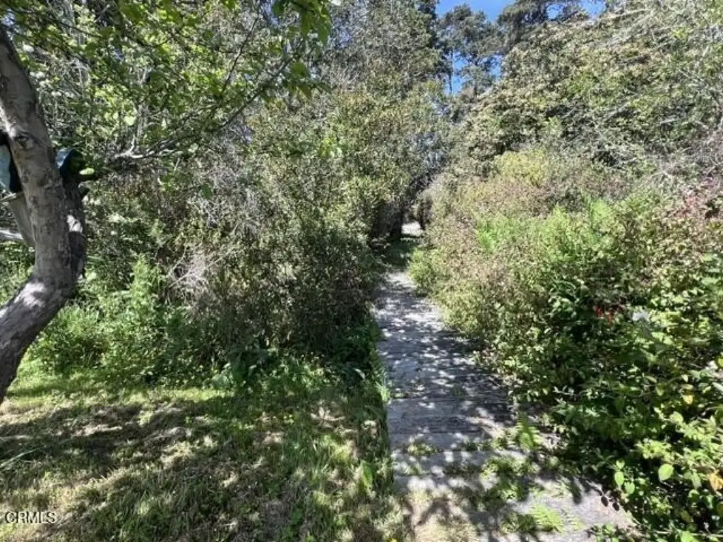 Picture 48