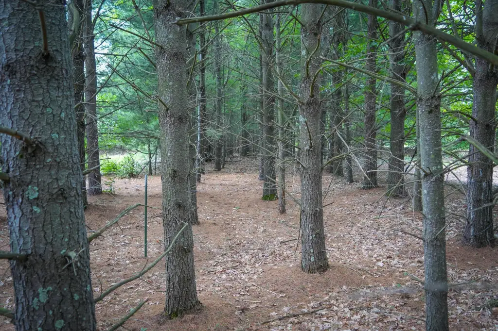 Picture 16