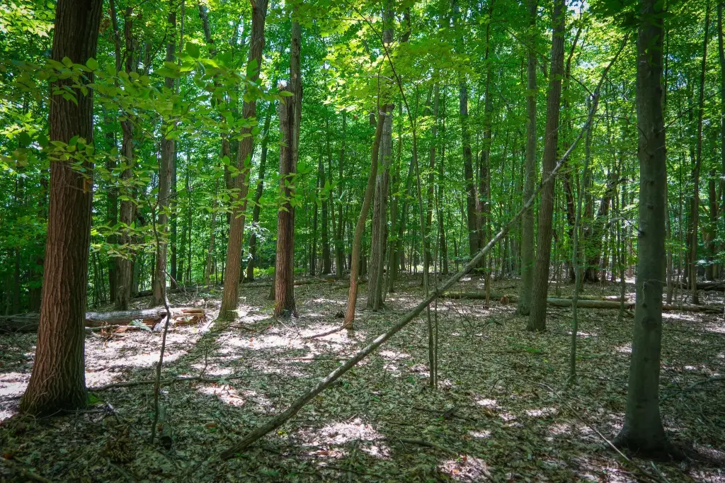 Picture 18