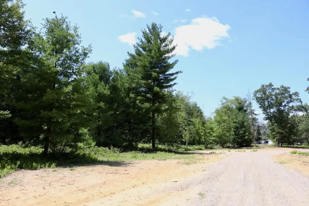 Picture 4