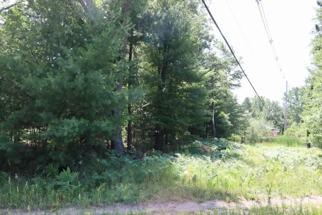 Picture 23