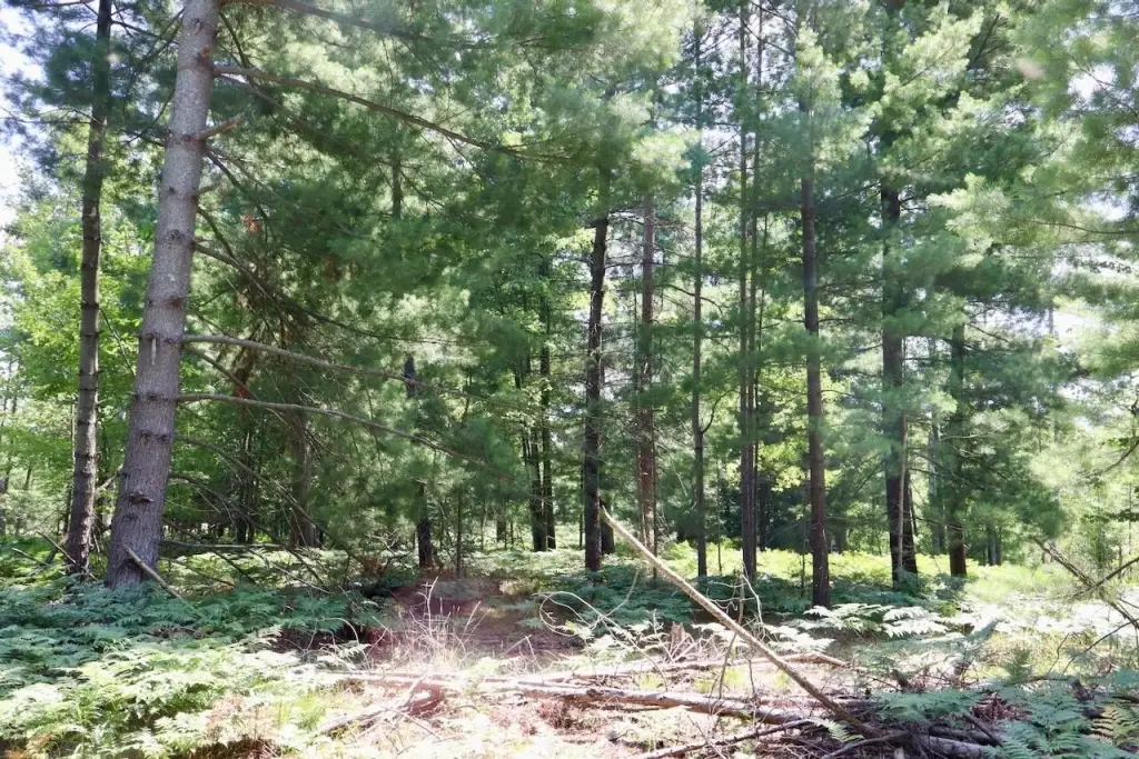 Picture 10