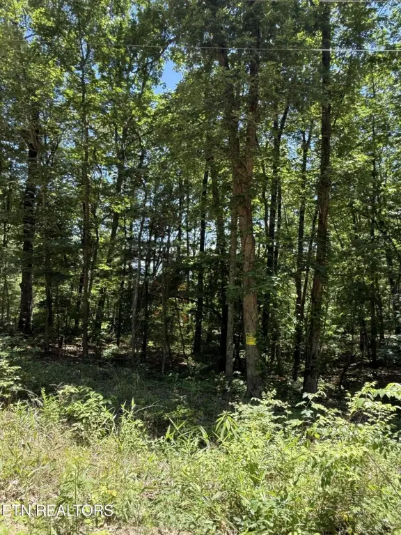 Picture 6