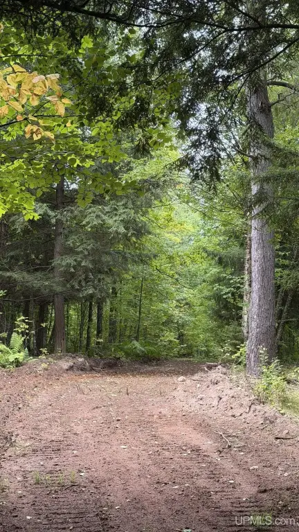 Picture 21