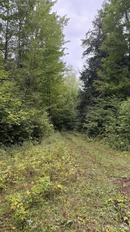 Picture 20