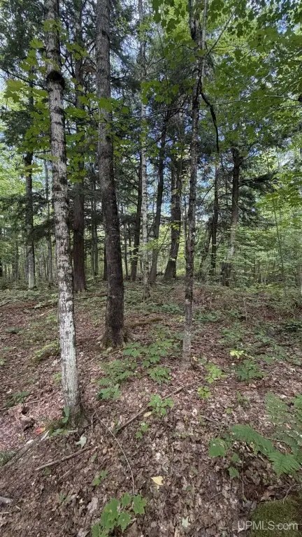 Picture 25