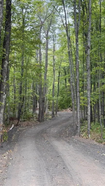 Picture 23