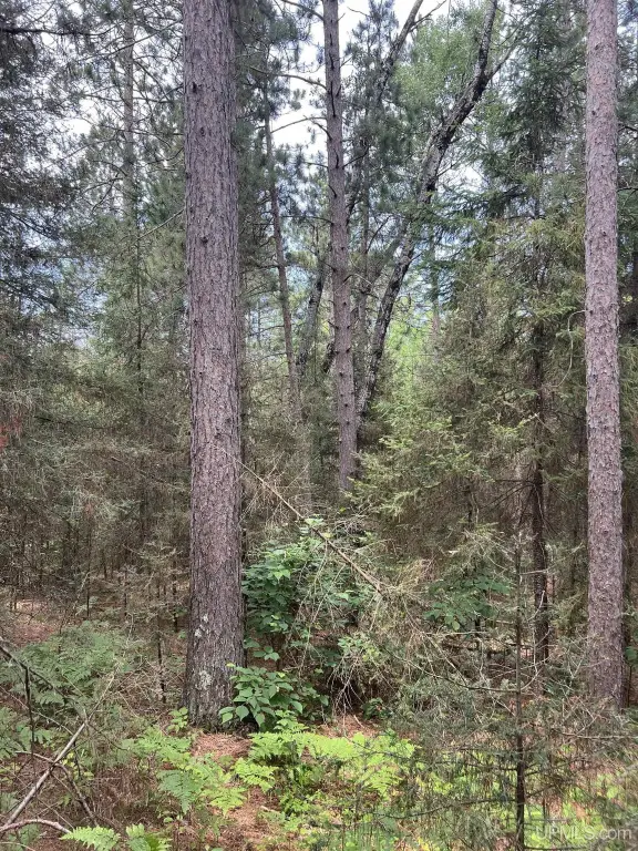 Picture 16