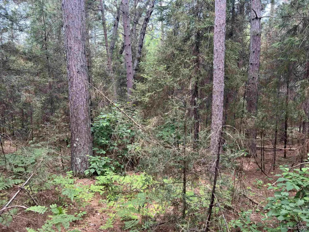 Picture 17