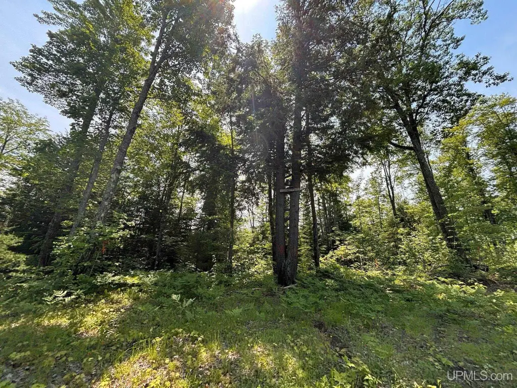 Picture 63