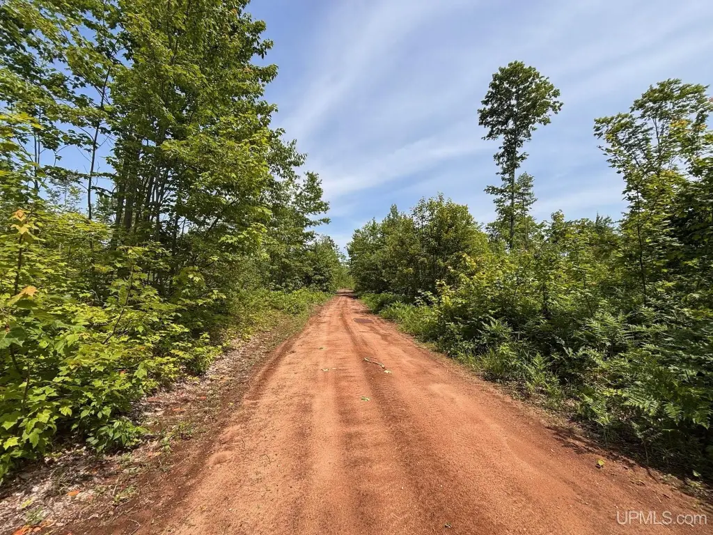 Picture 43