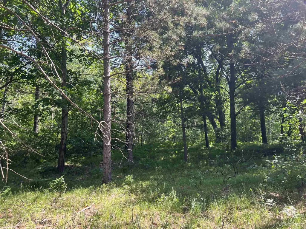 Picture 8
