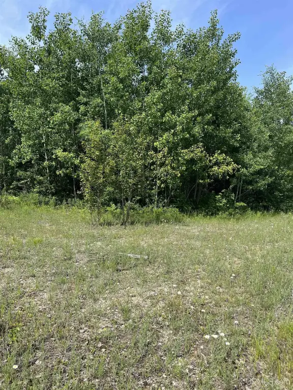 Picture 22